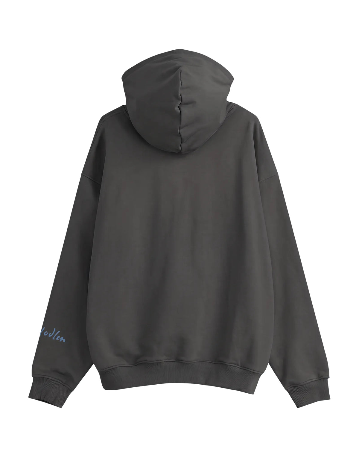 Ferdinand Hodler Art Hoodie