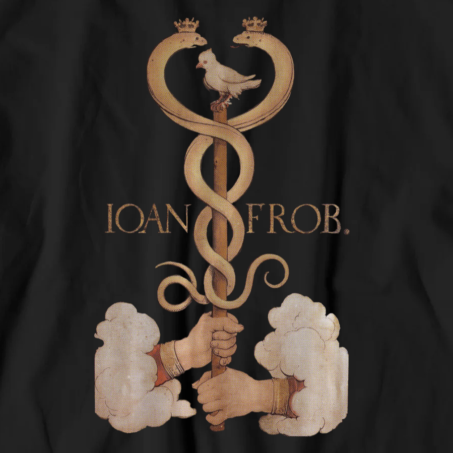 Hans Holbein the Younger T-shirt