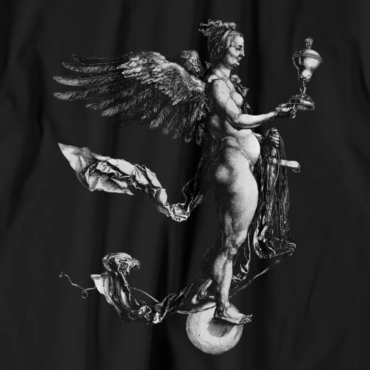 Albrecht Dürer T-shirt