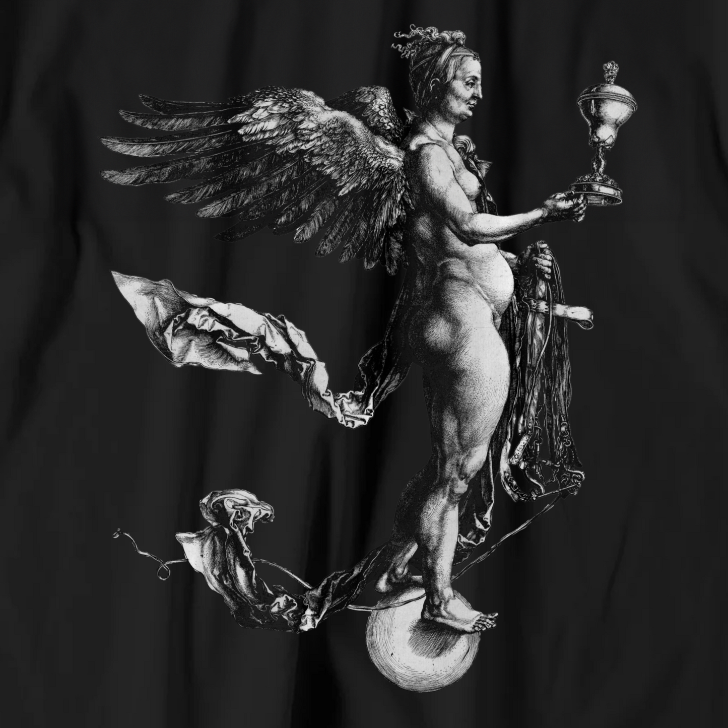 Albrecht Dürer T-shirt