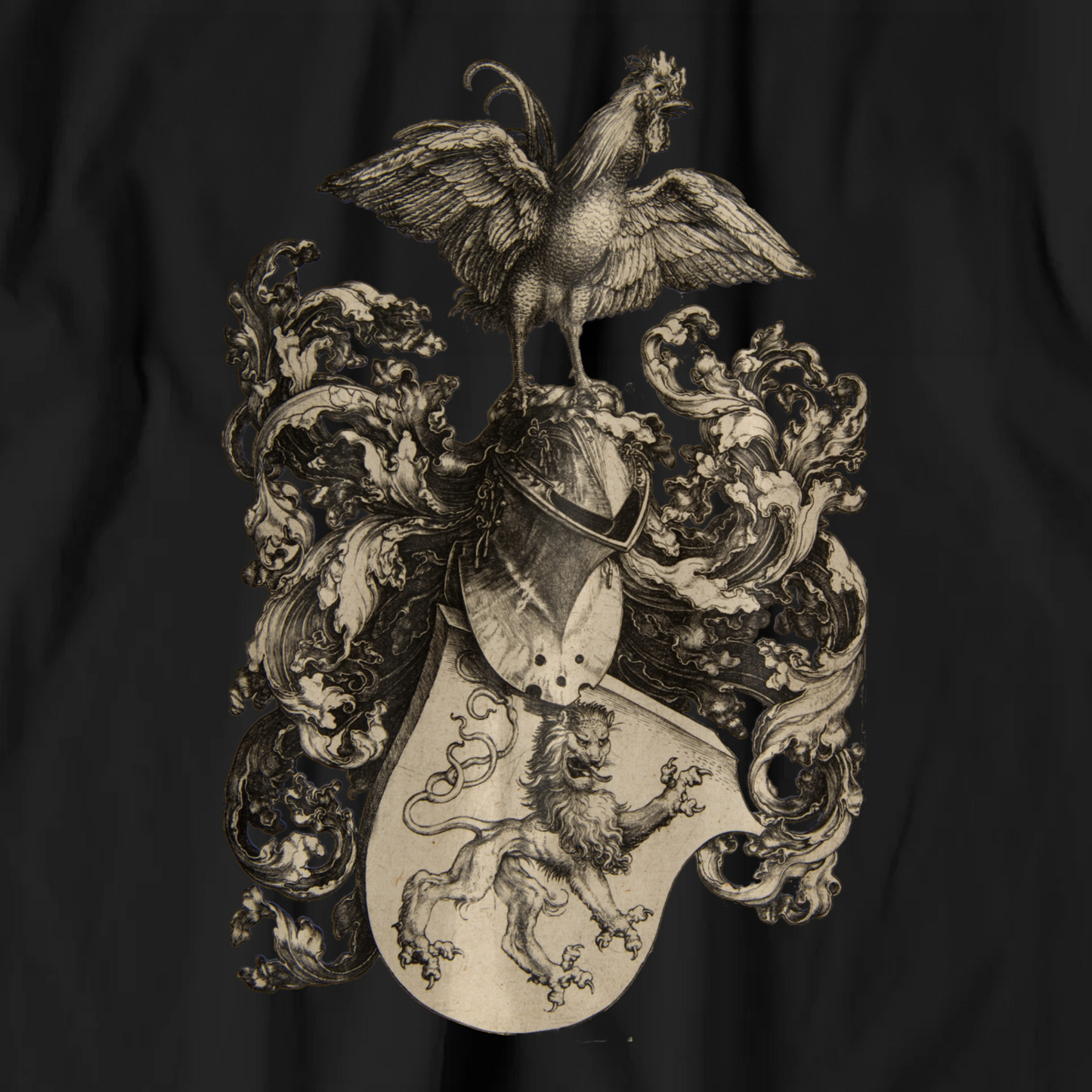 Albrecht Dürer T-shirt