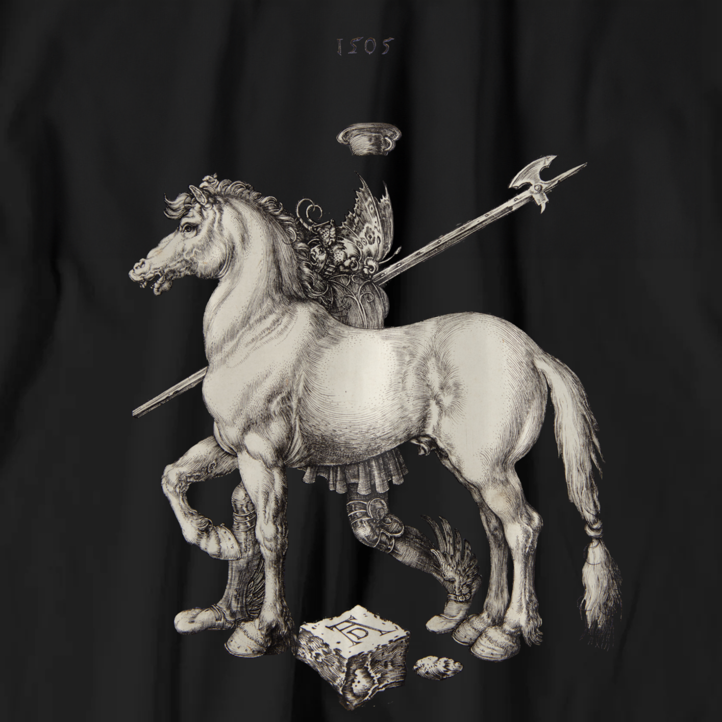 Albrecht Dürer T-shirt
