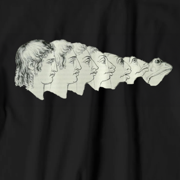 J.J. Grandville T-shirt