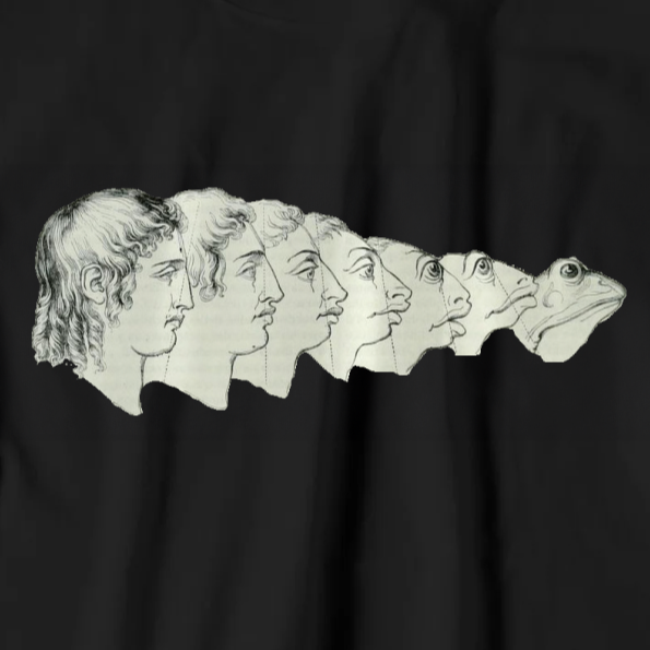 J.J. Grandville T-shirt