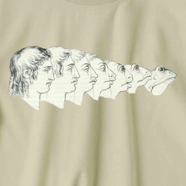 J.J. Grandville T-shirt