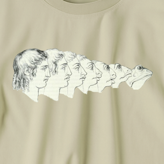 J.J. Grandville T-shirt
