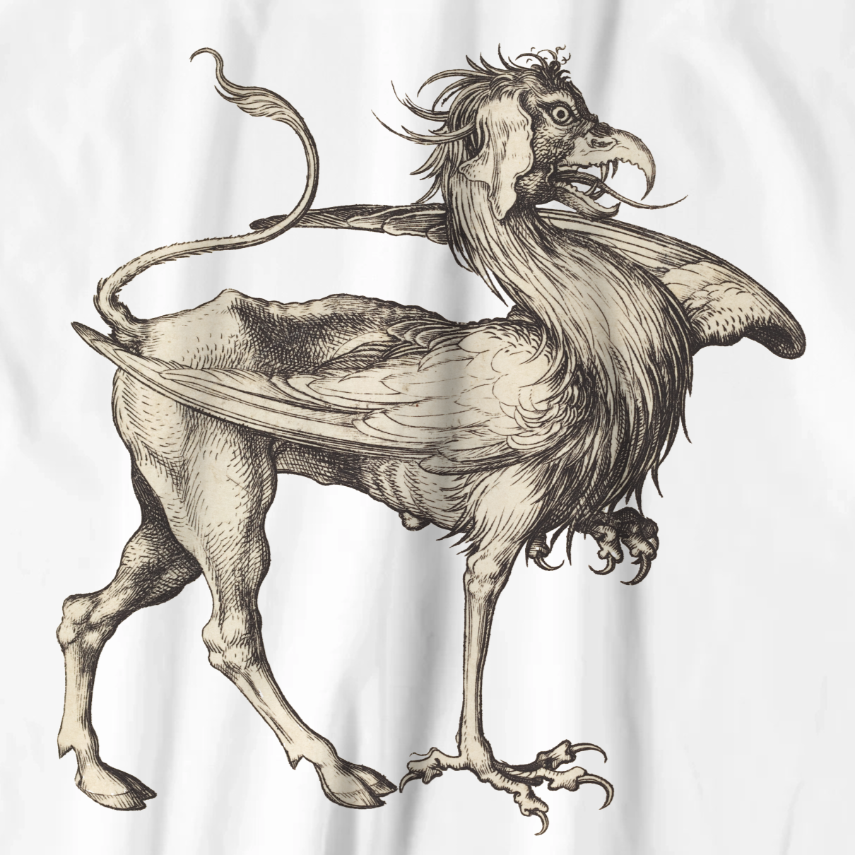 Martin Schongauer T-shirt