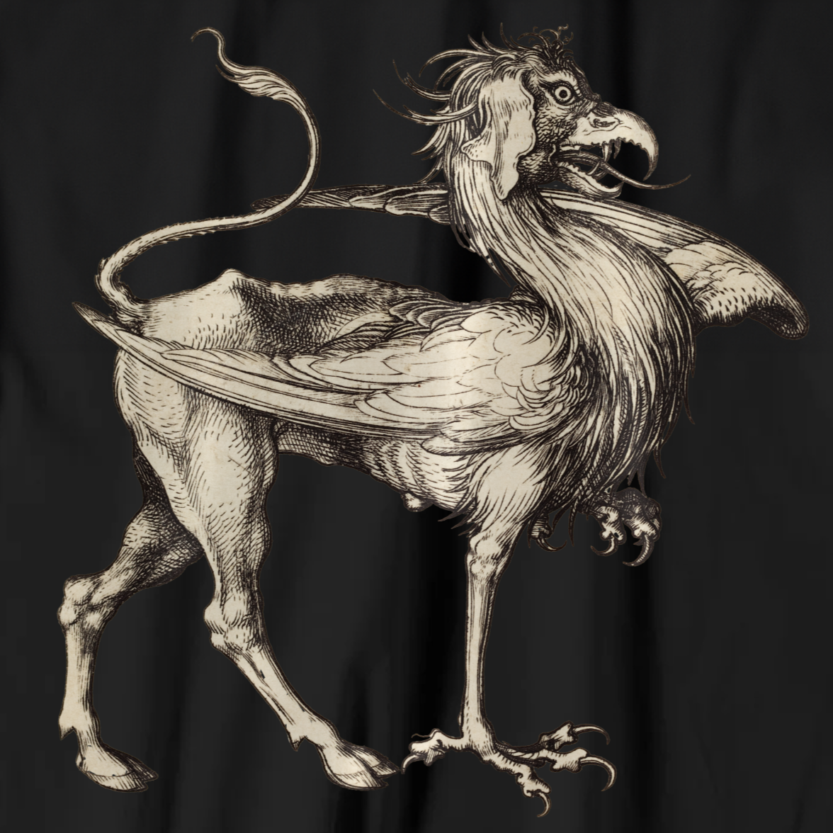 Martin Schongauer T-shirt