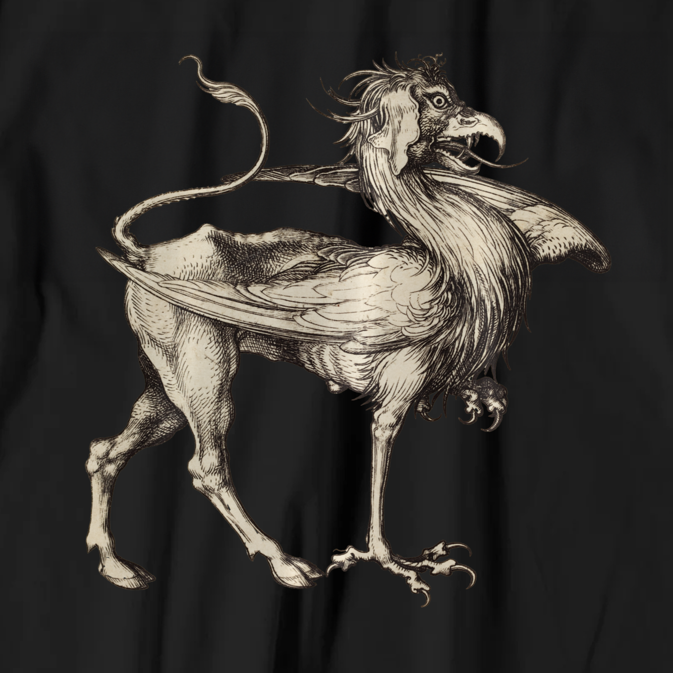 Martin Schongauer T-shirt