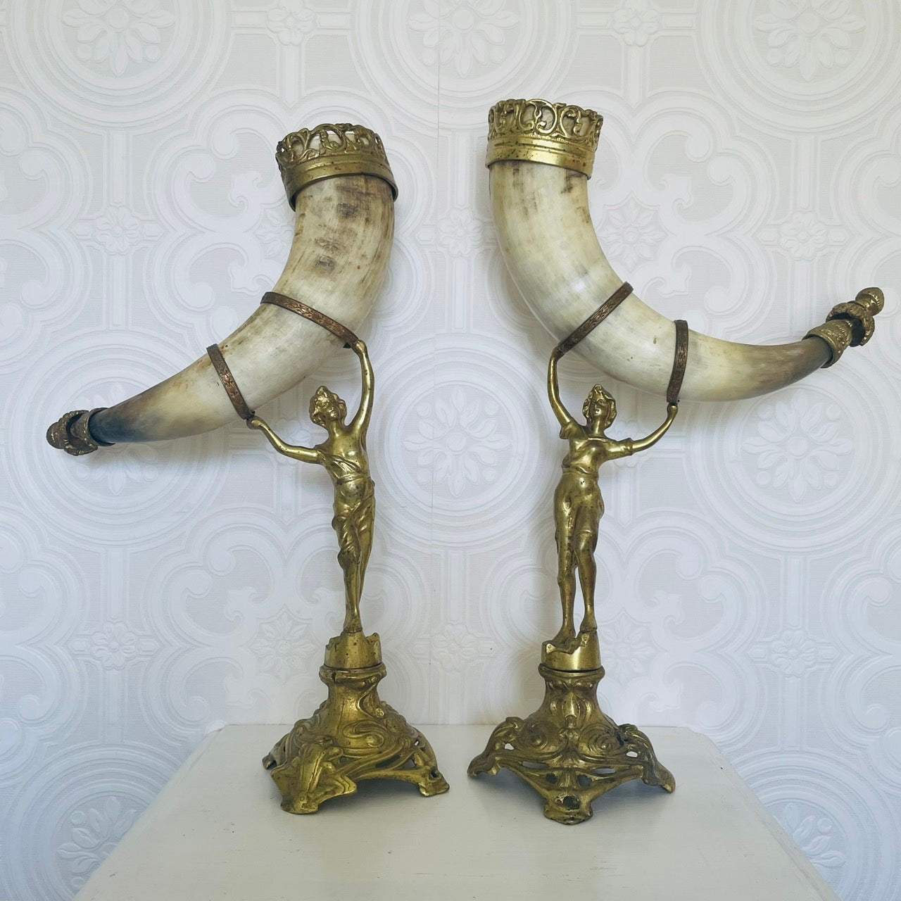 Pair of Water Buffalo Horn Trophies – Late 19th Century, Germany