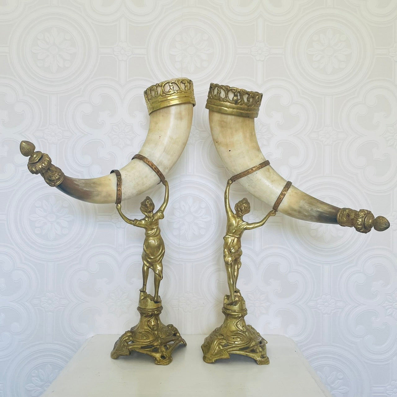 Pair of Water Buffalo Horn Trophies – Late 19th Century, Germany