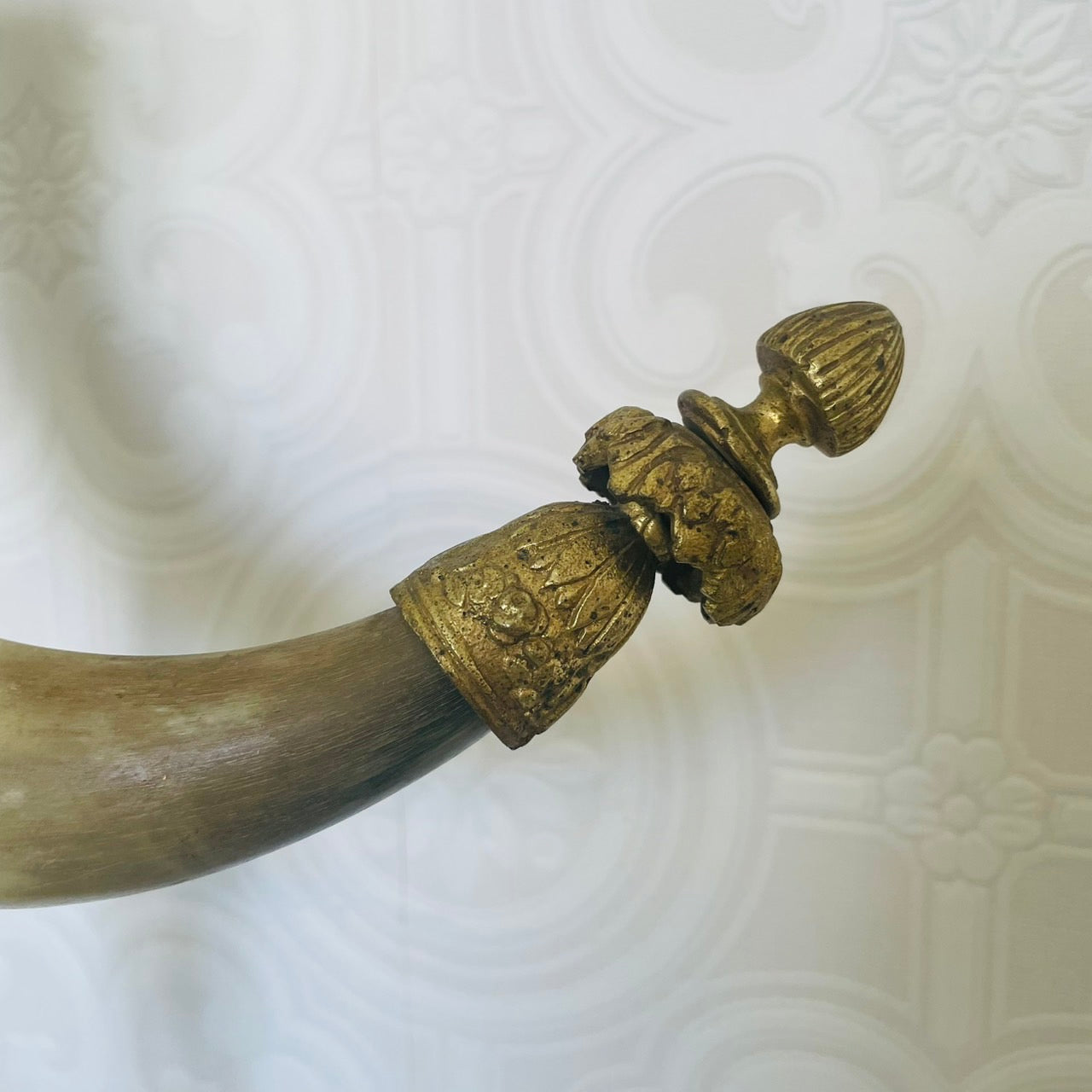 Pair of Water Buffalo Horn Trophies – Late 19th Century, Germany