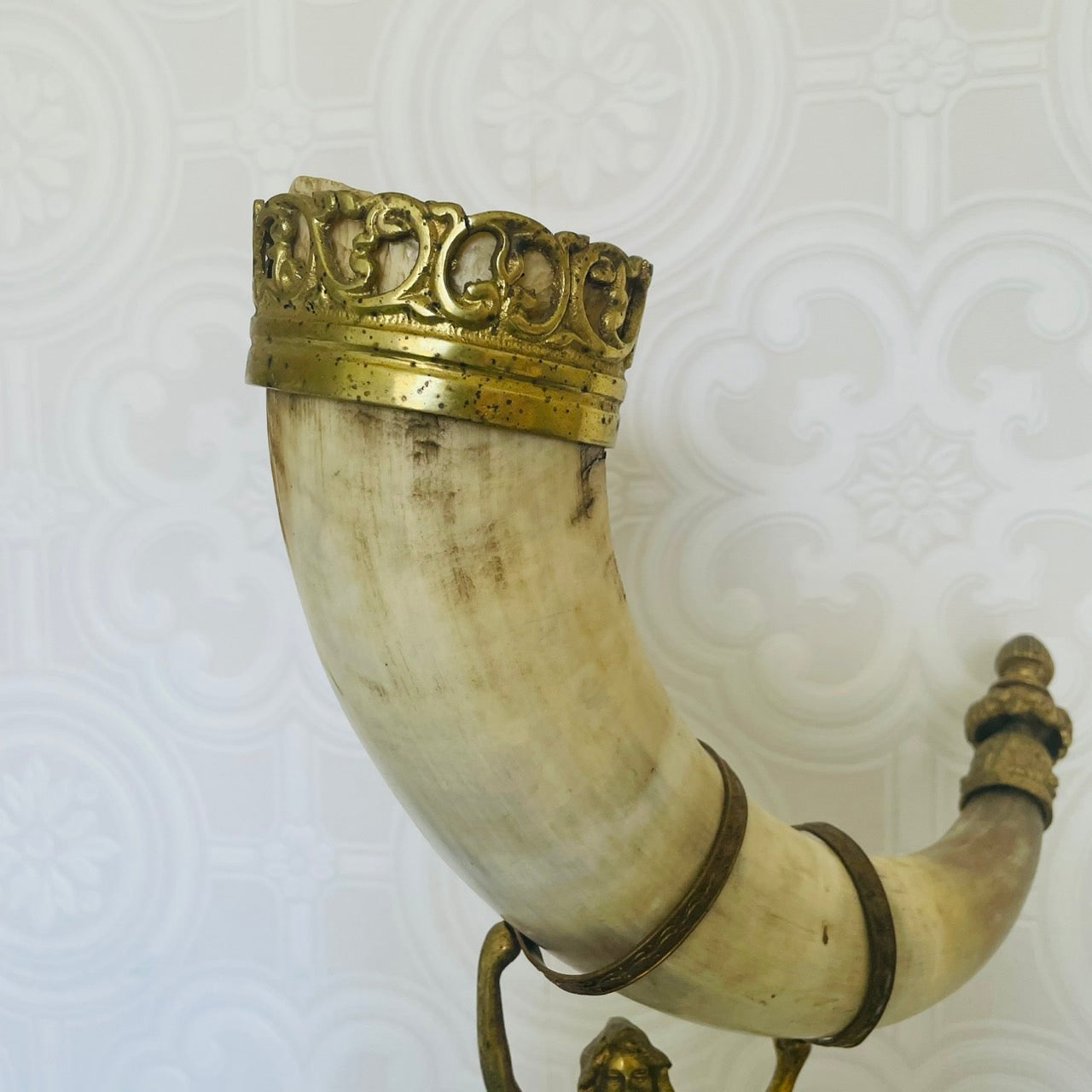 Pair of Water Buffalo Horn Trophies – Late 19th Century, Germany