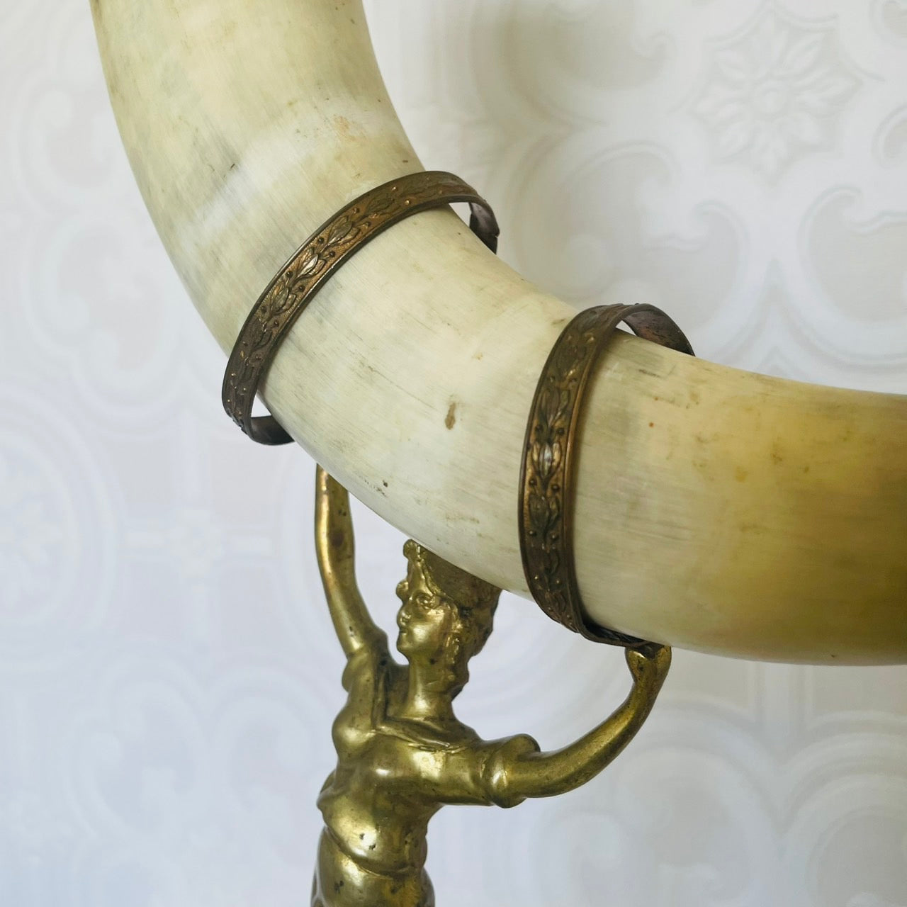 Pair of Water Buffalo Horn Trophies – Late 19th Century, Germany