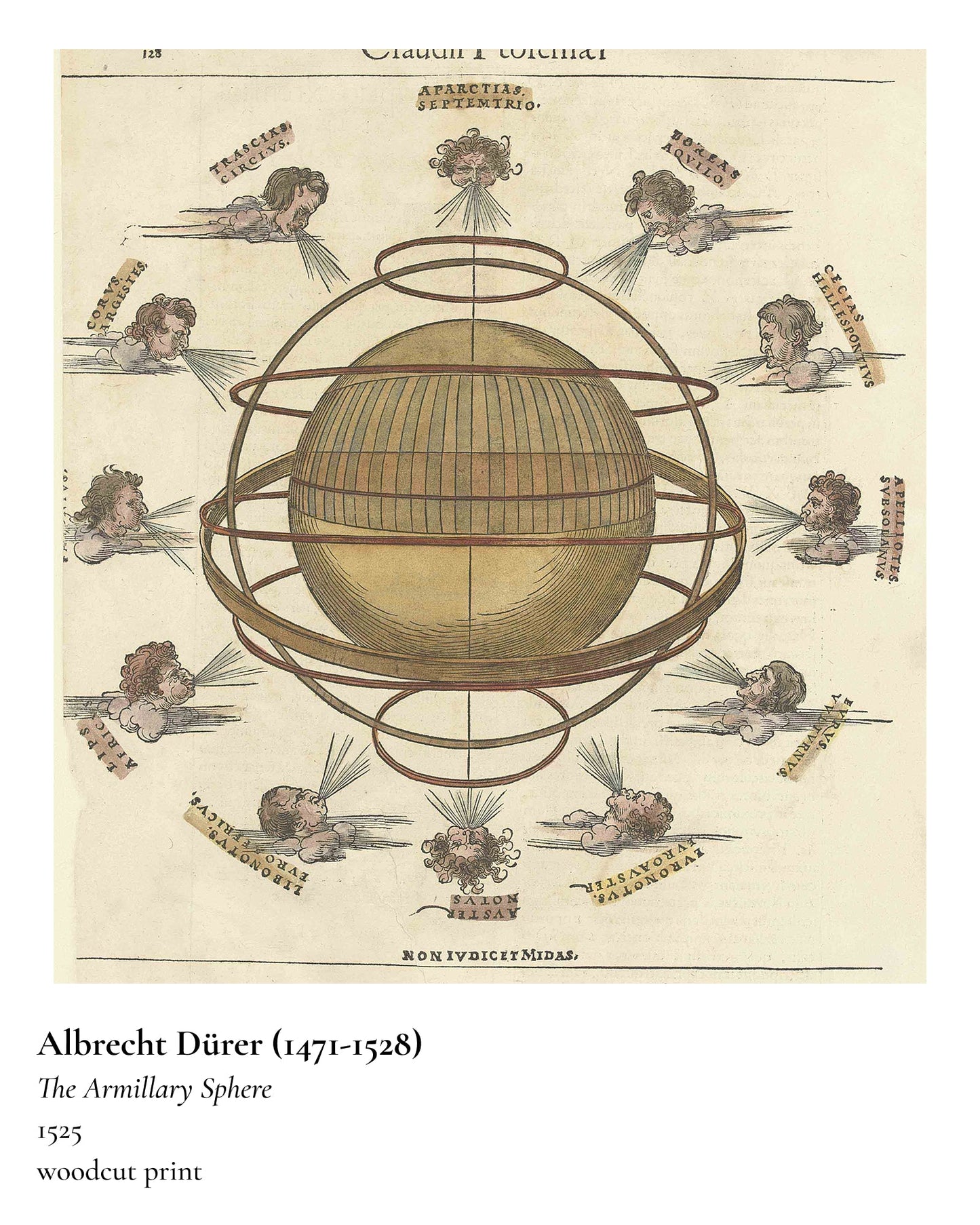 Albrecht Dürer Art T-shirt