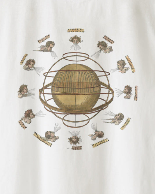 Albrecht Dürer T-shirt