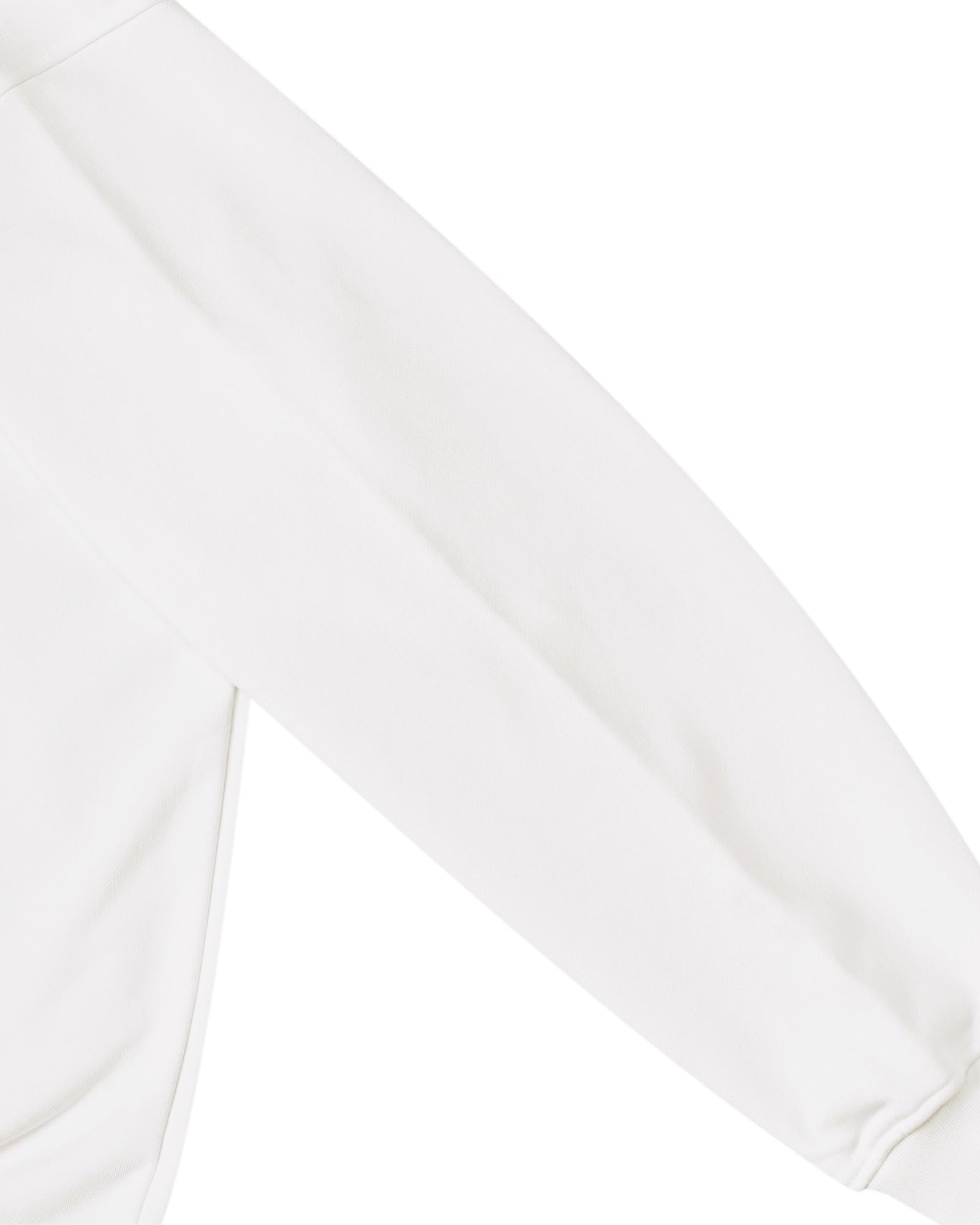 Vincent Willem van Gogh white image