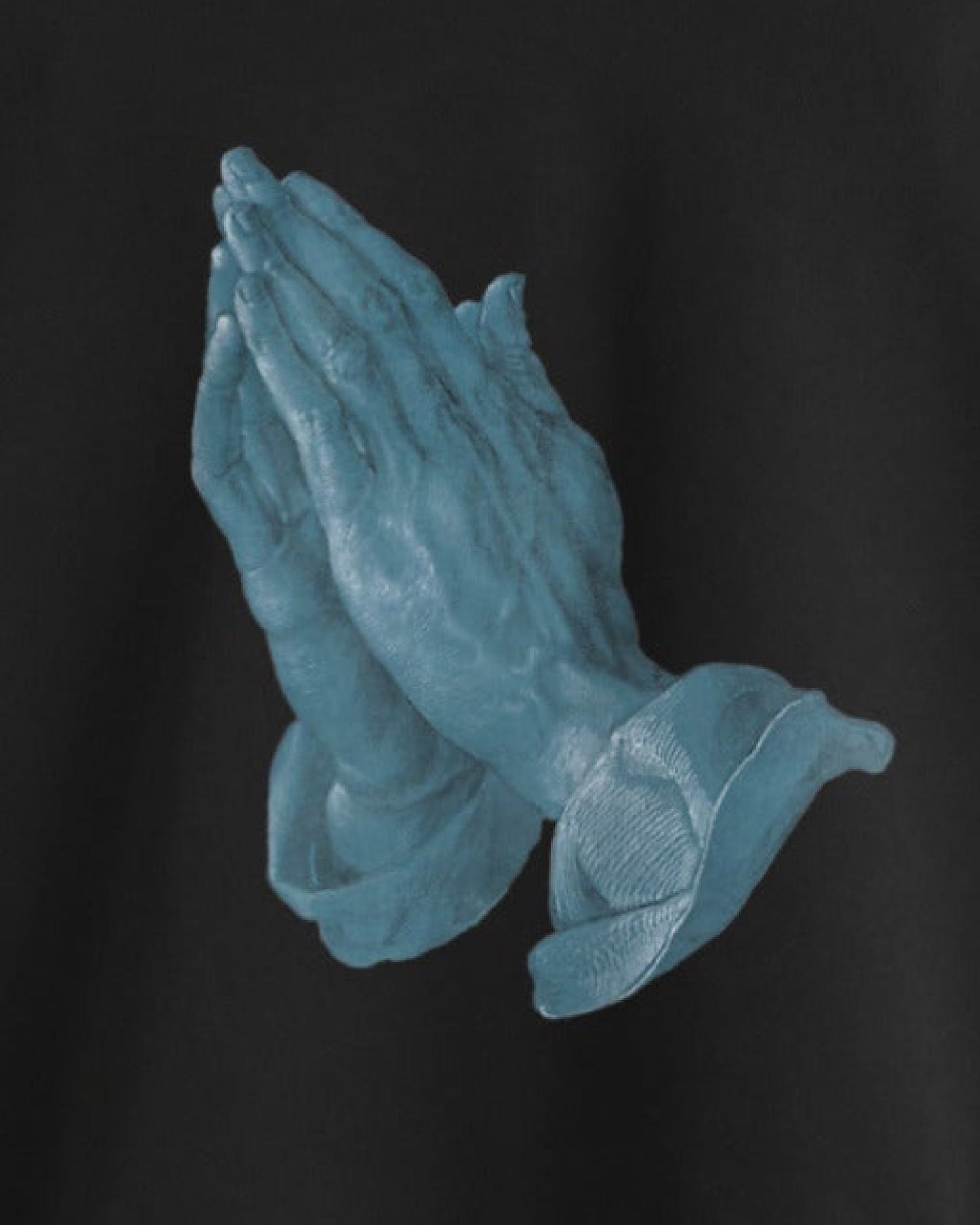 Albrecht Dürer Art Hoodie