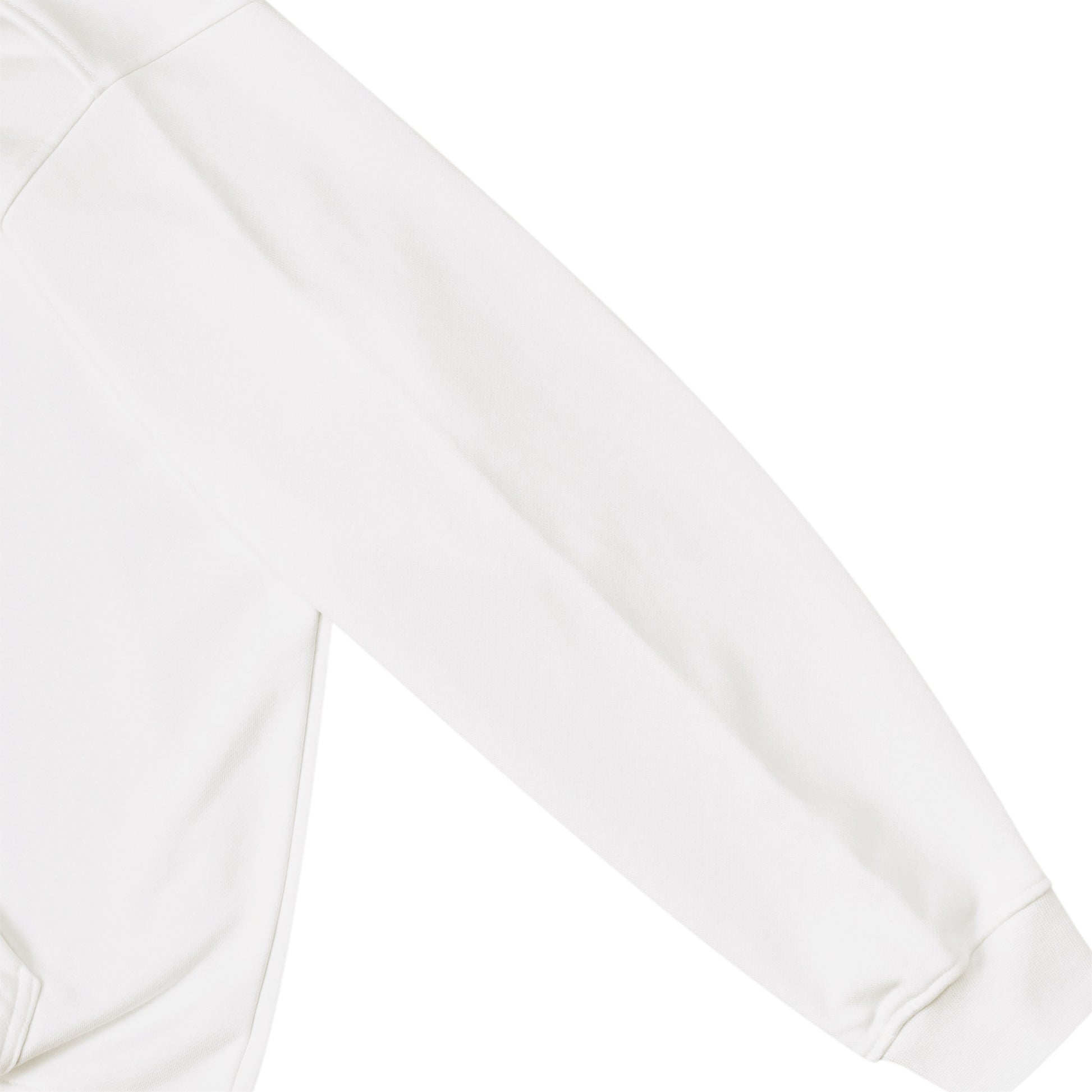 Albrecht Dürer white image