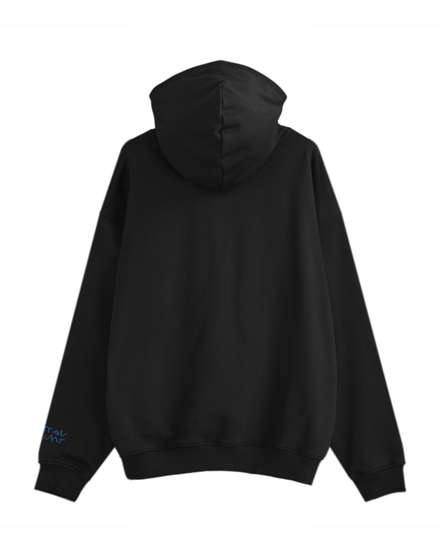 Leonardo da Vinci Art Hoodie