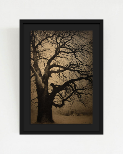SOLITUDE-01 : Léon Spilliaert - "Boom in de winter, Brafa" Framed Art