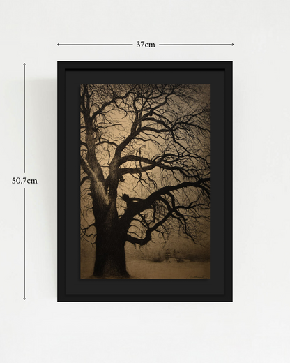SOLITUDE-01: Léon Spilliaert - "Tree in Winter, Brafa" Framed Art