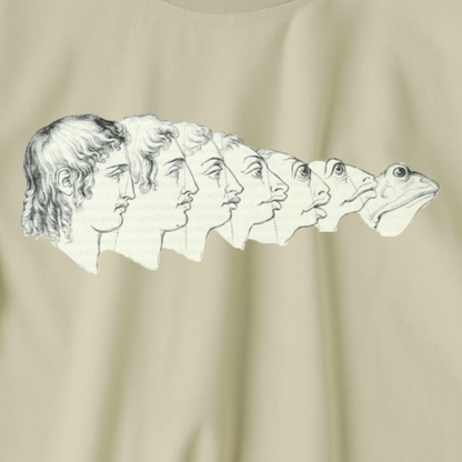 J.J. Grandville T-shirt