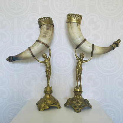 Pair of Water Buffalo Horn Trophies – Late 19th Century, Germany