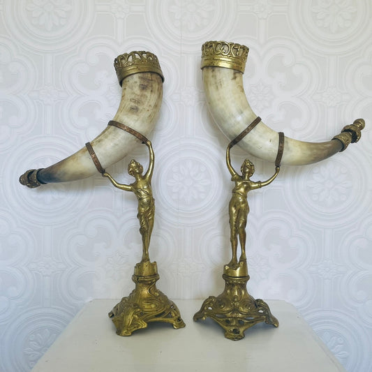 Pair of Water Buffalo Horn Trophies – Late 19th Century, Germany
