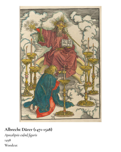 Albrecht Dürer Art T-shirt