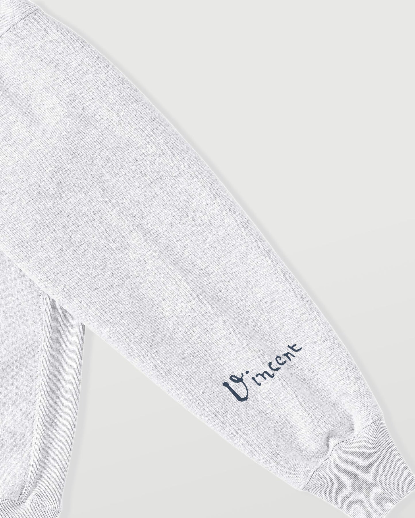 Vincent Willem van Gogh ash image