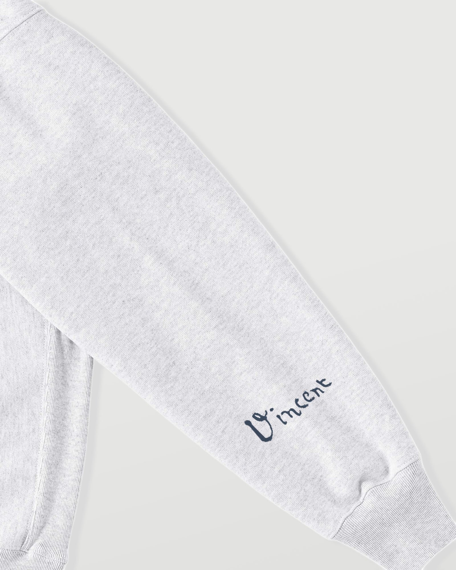 Vincent Willem van Gogh ash image