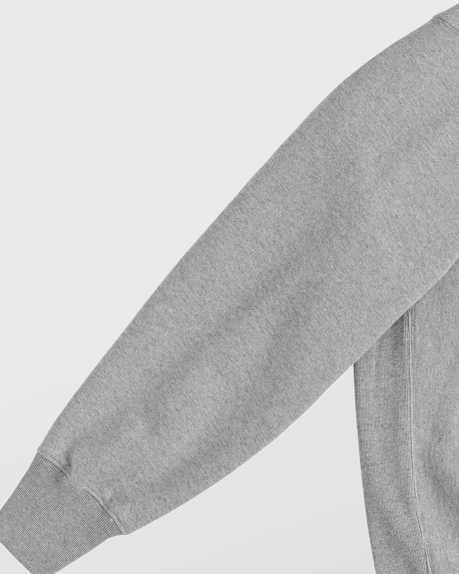 Vincent Willem van Gogh gray image