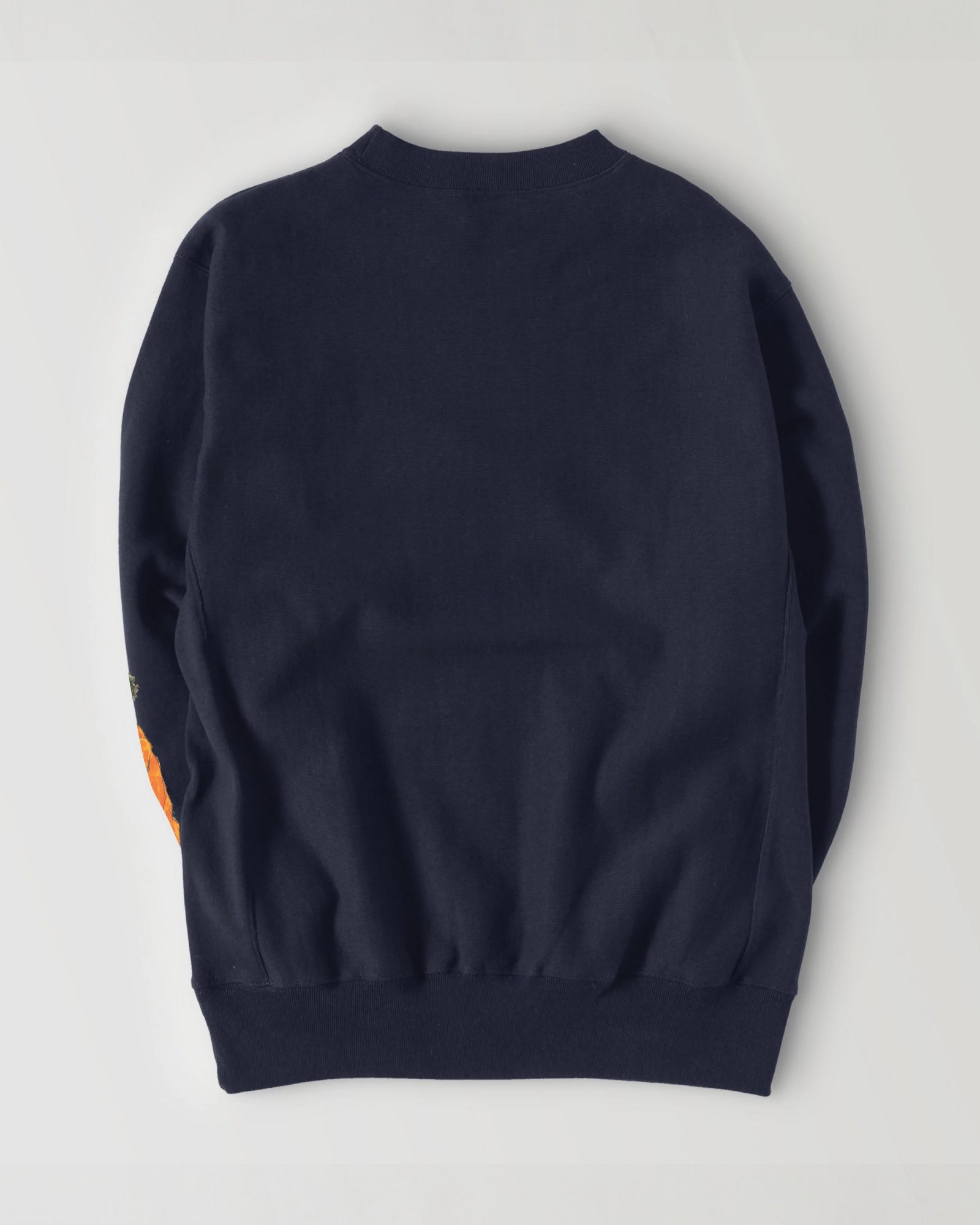 Egon Schiele navy image