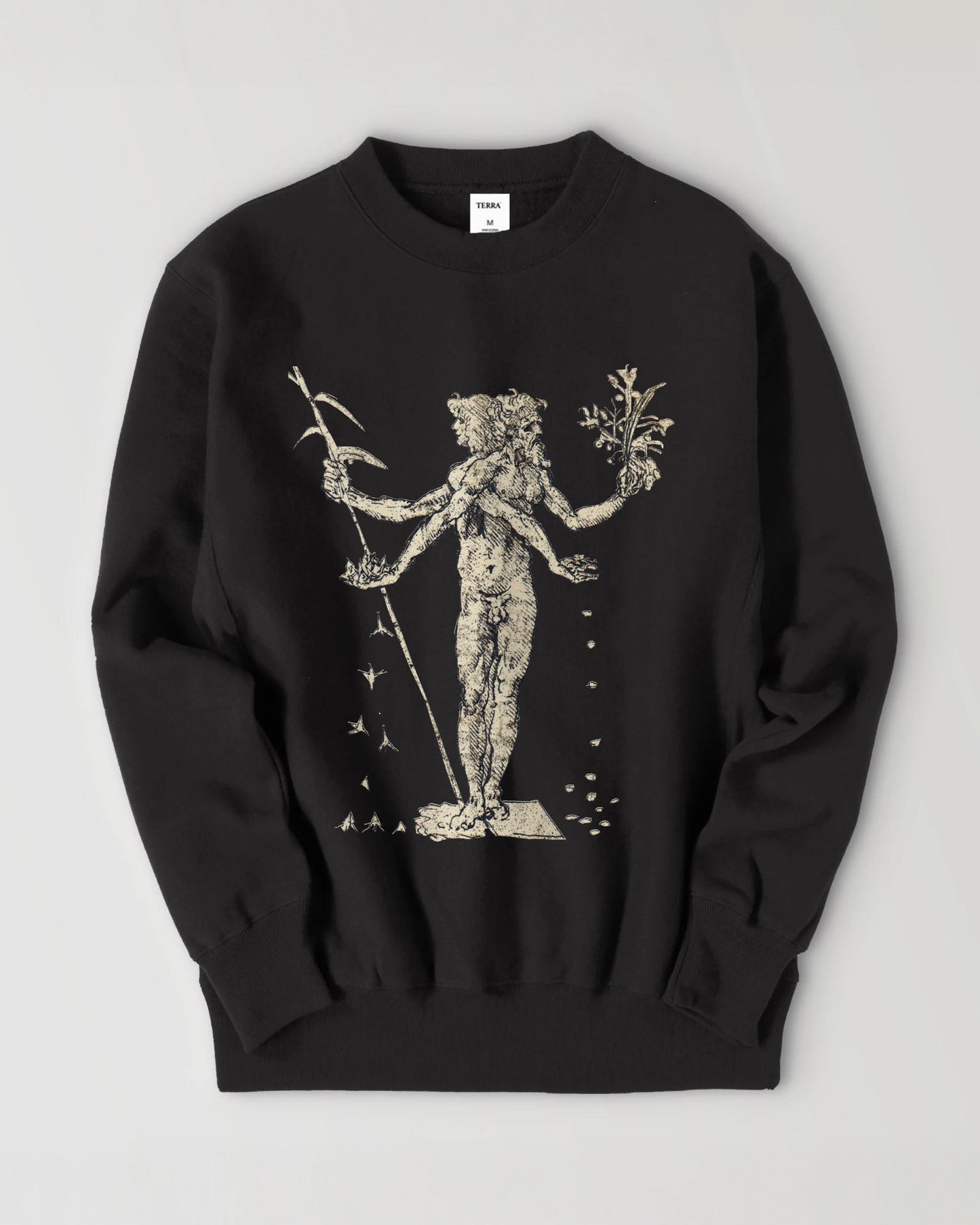 Leonardo da Vinci black image