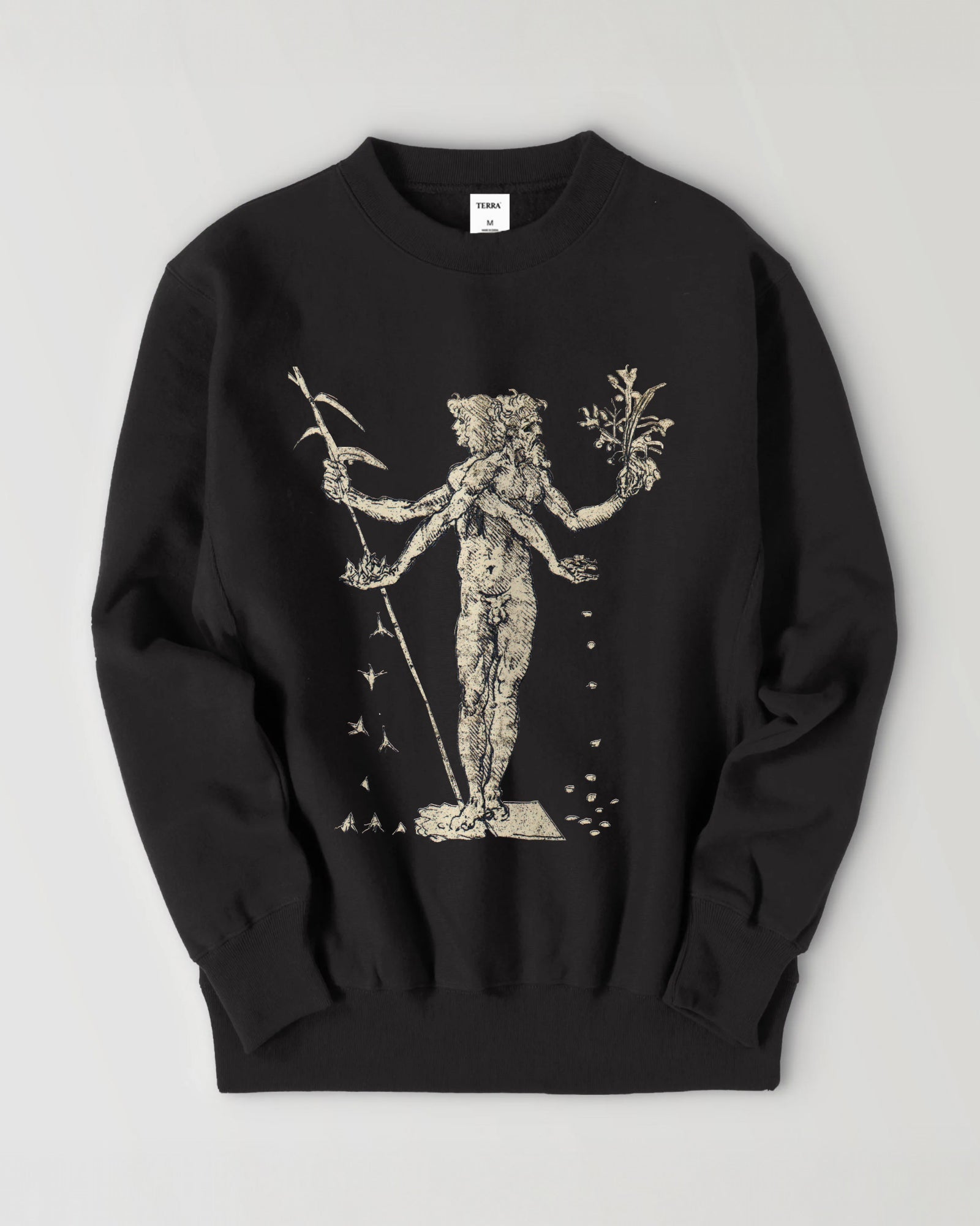 Leonardo da Vinci black image