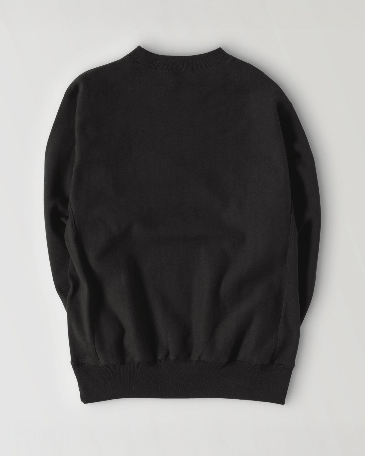 Leonardo da Vinci black image