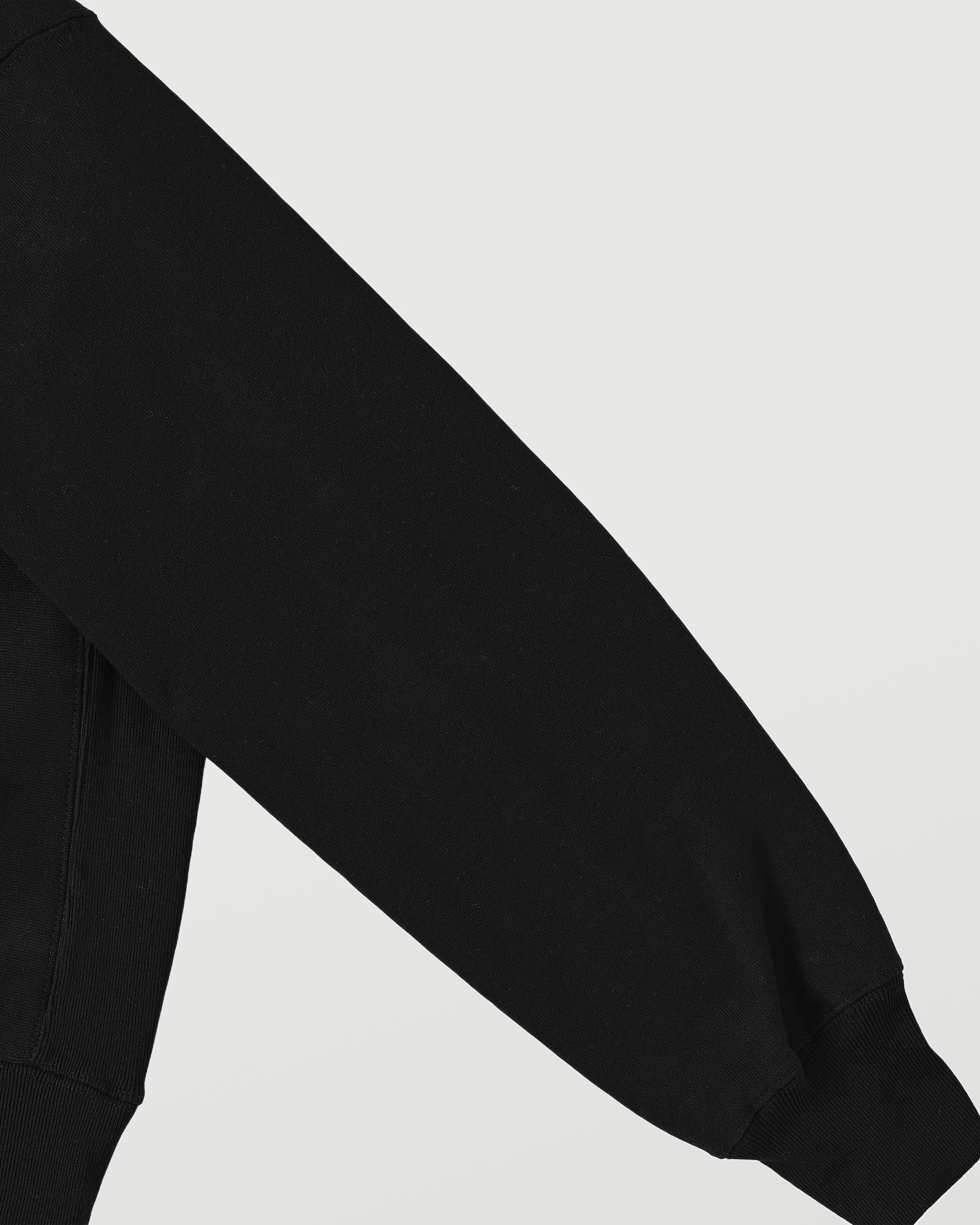 Leonardo da Vinci black image