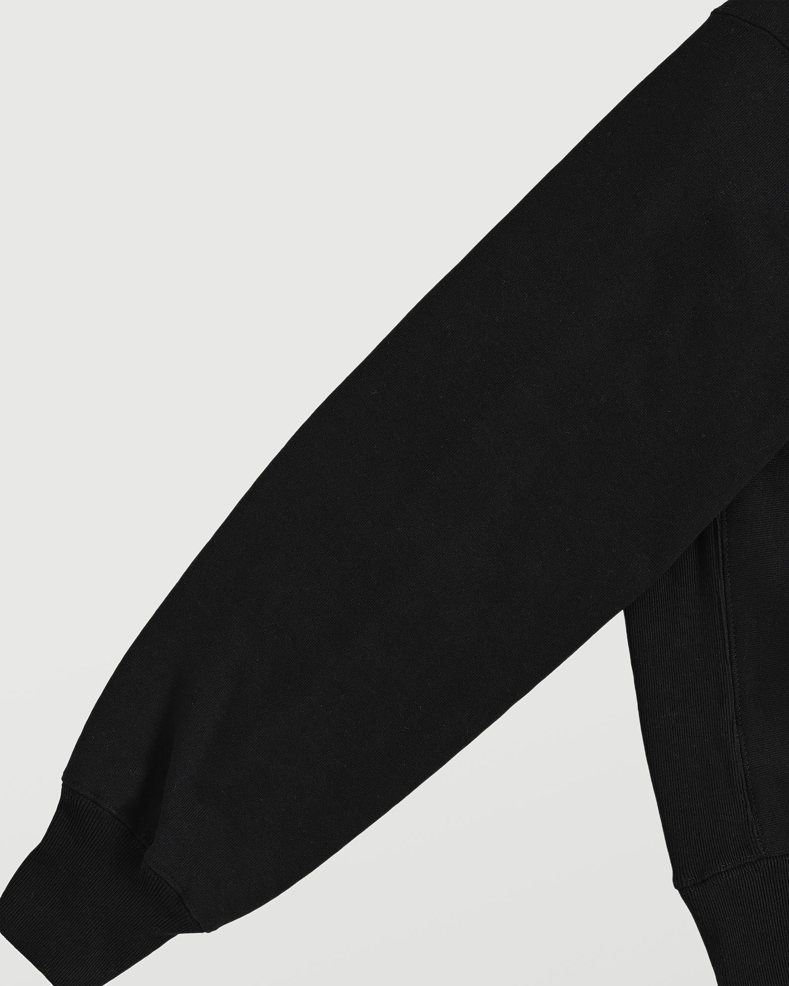 Leonardo da Vinci black image