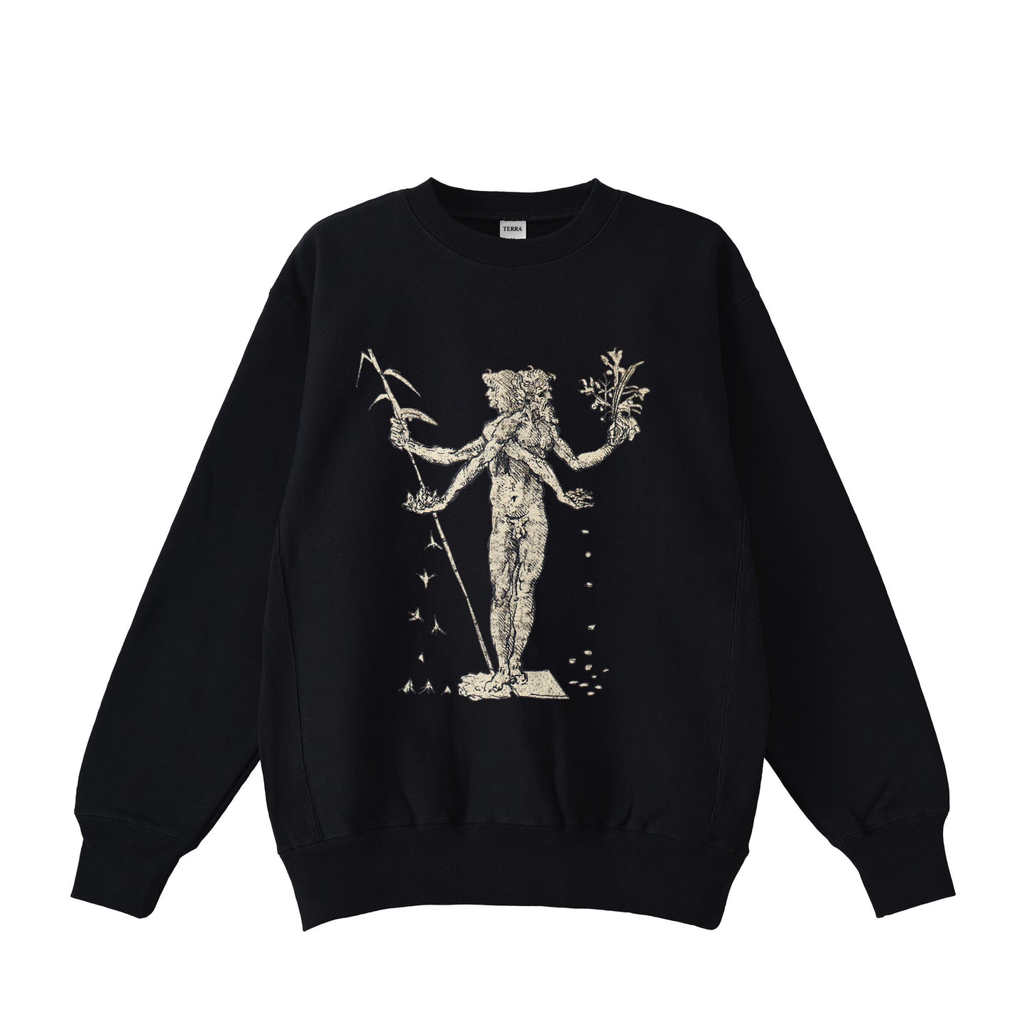 Leonardo da Vinci black image