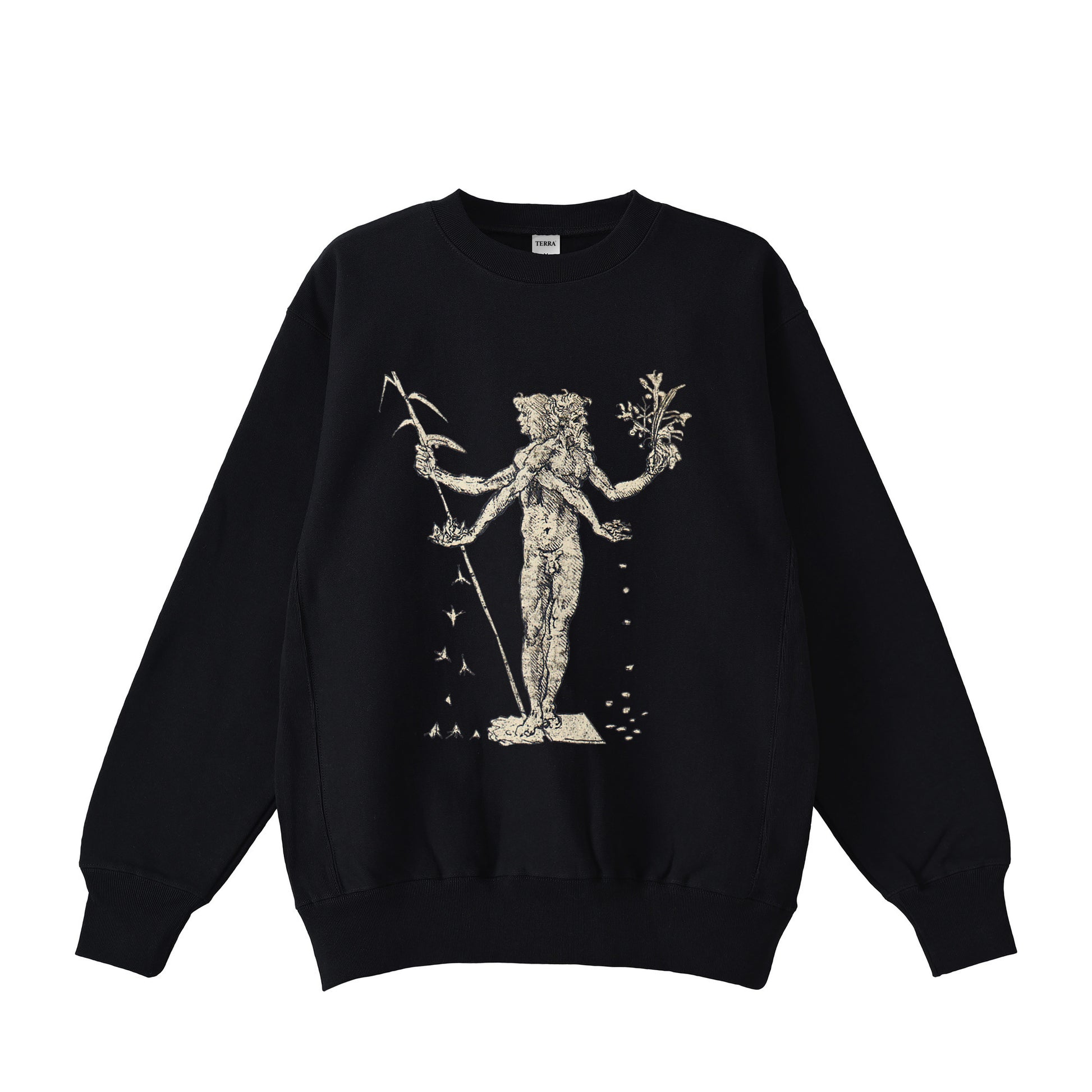 Leonardo da Vinci black image