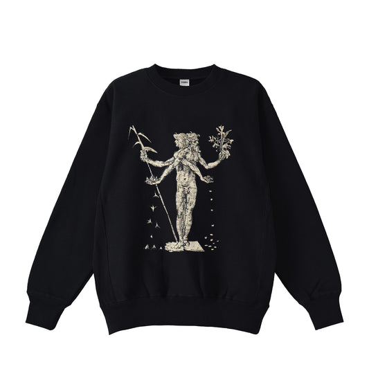 Leonardo da Vinci black image