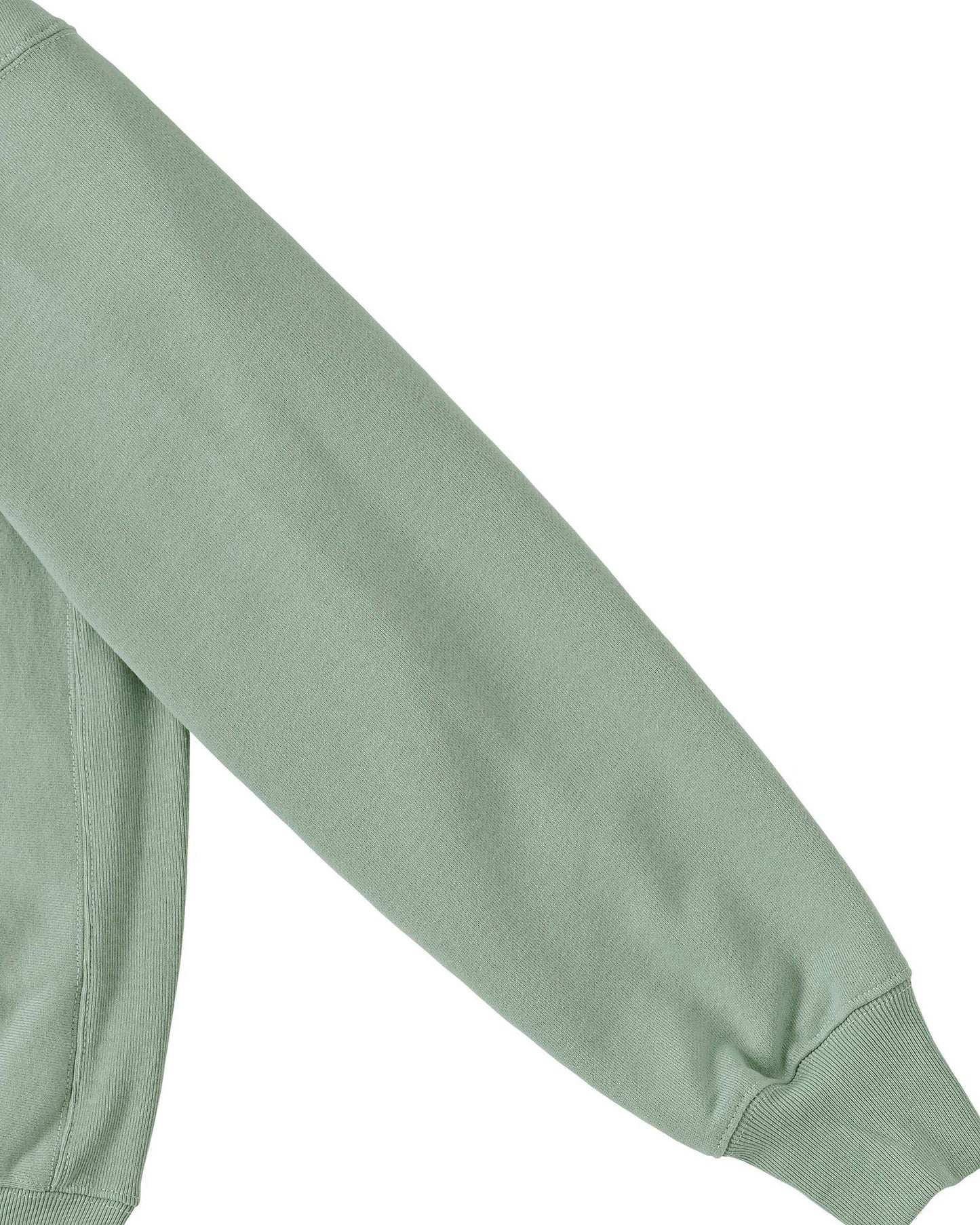 Ferdinand Hodler ash image