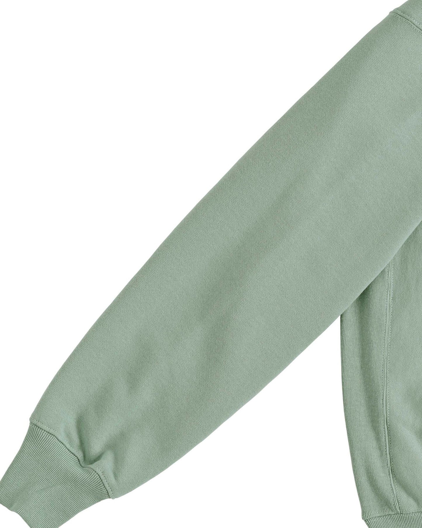 Ferdinand Hodler ash image