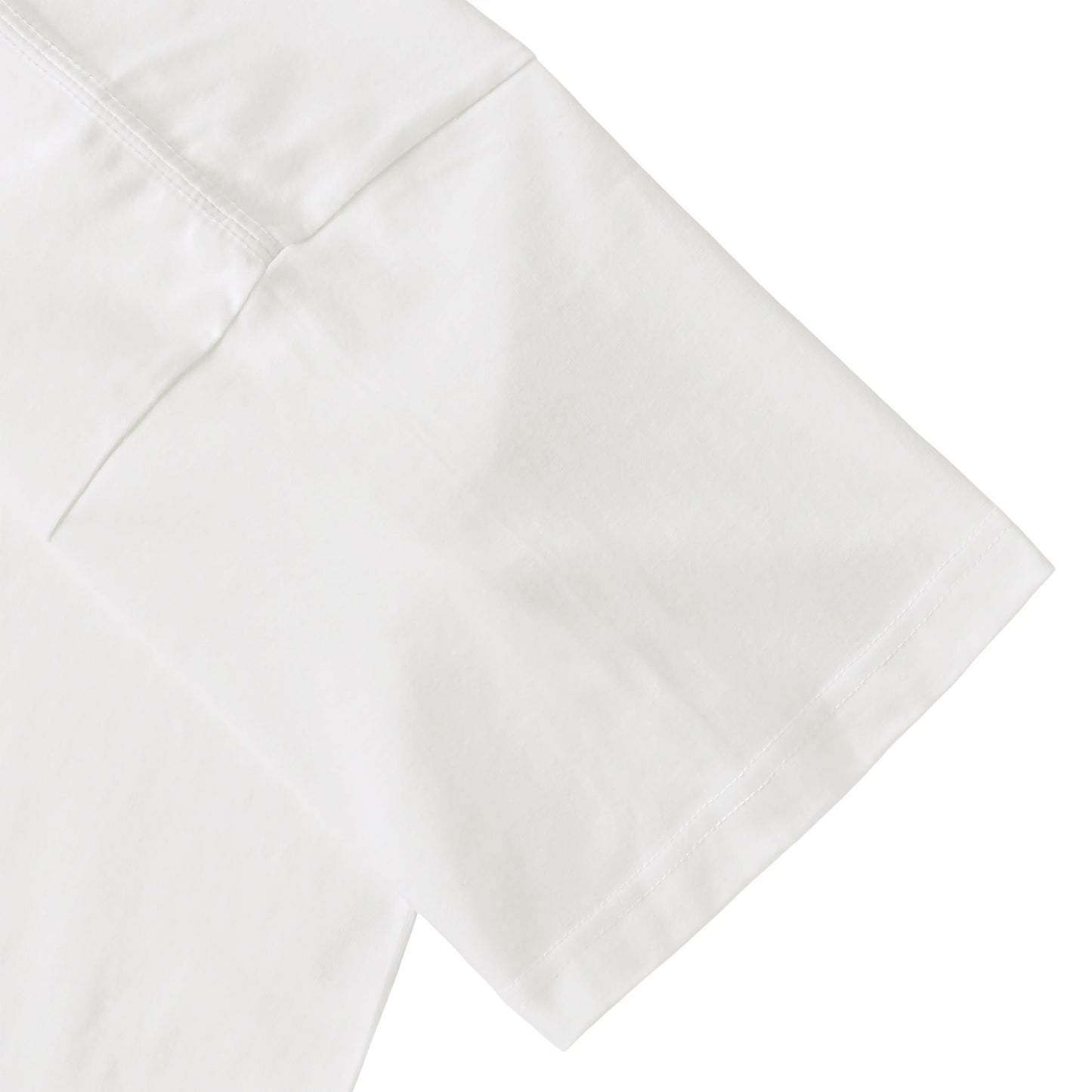 Albrecht Dürer white image