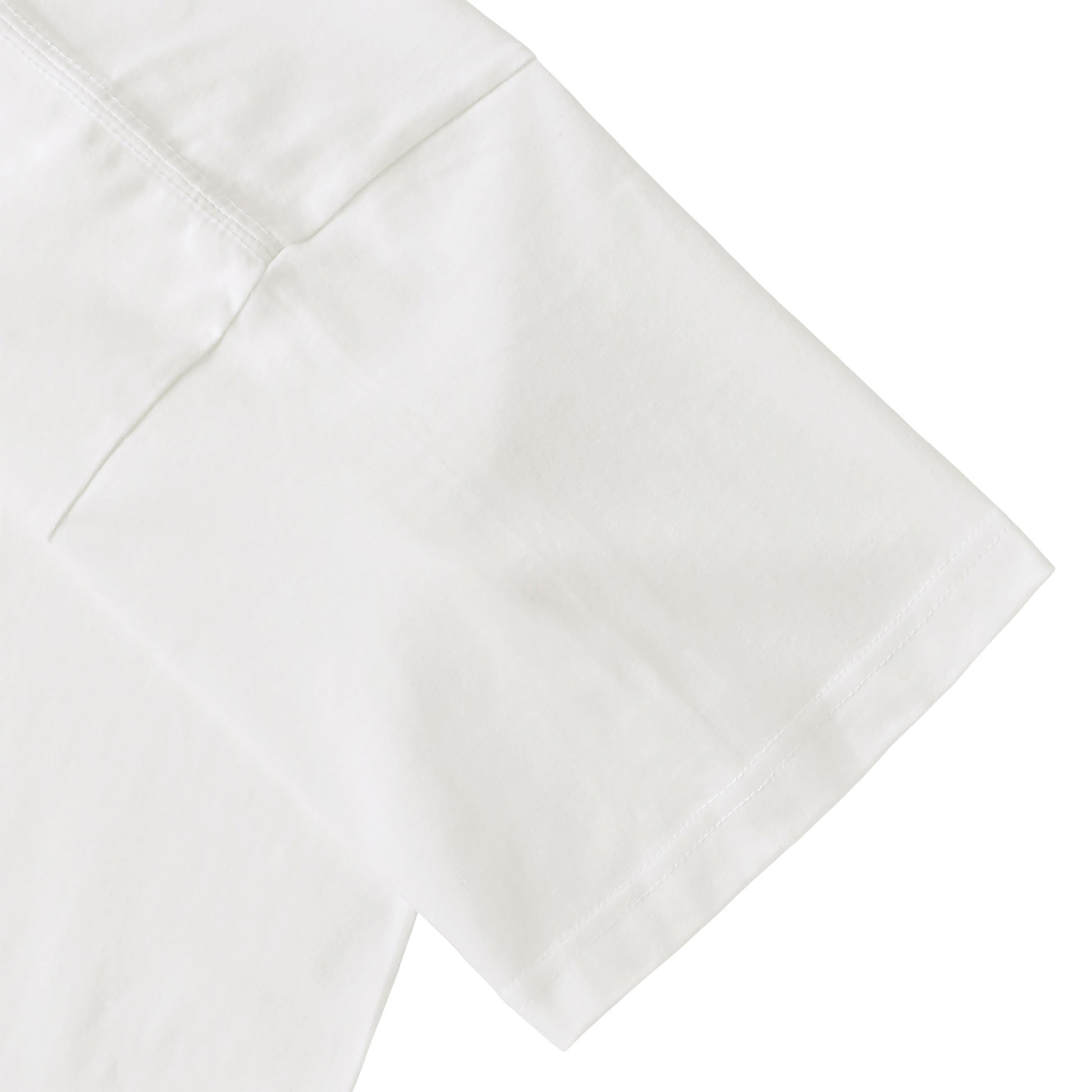Albrecht Dürer white image