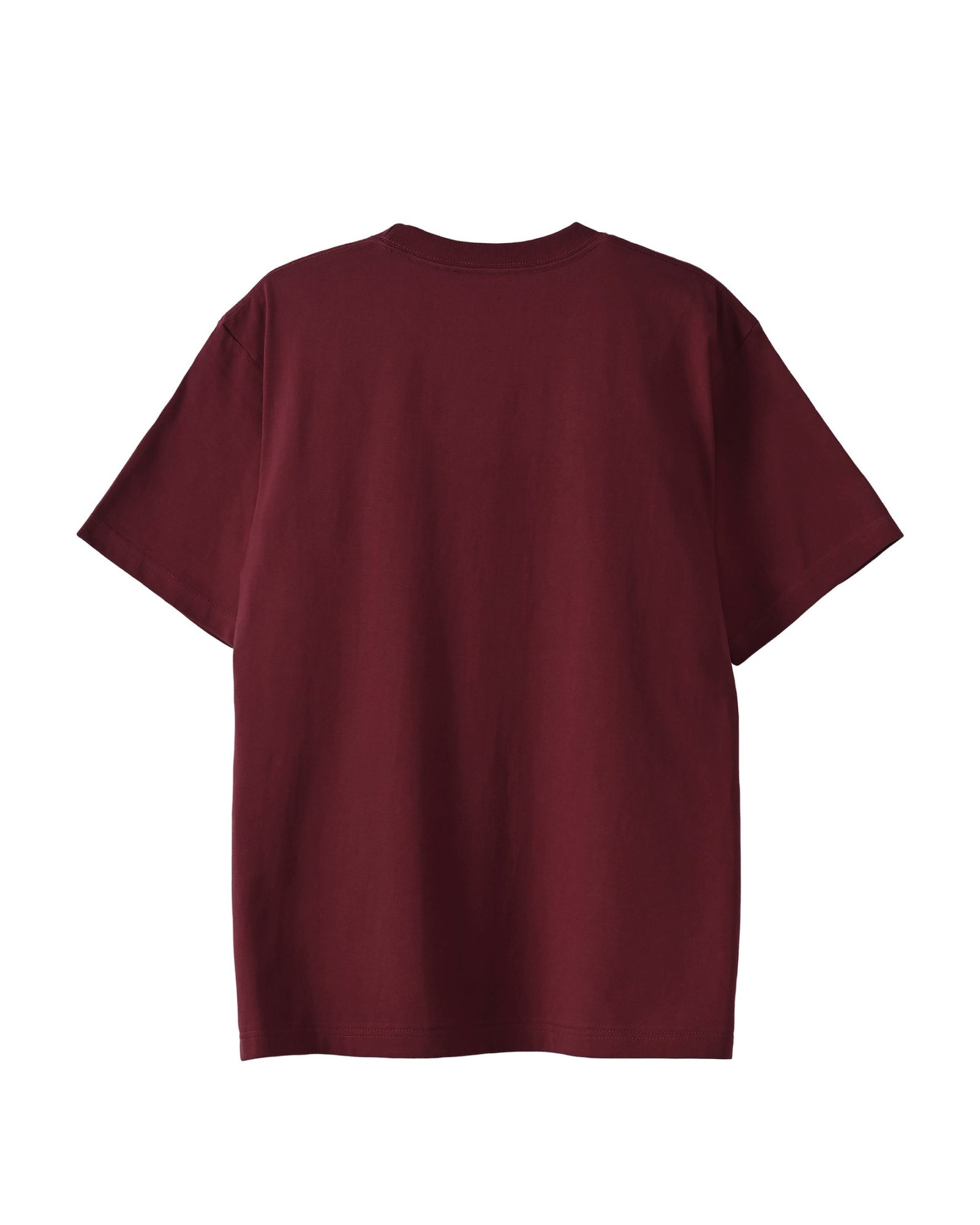 Hans Holbein the Younger burgundy image