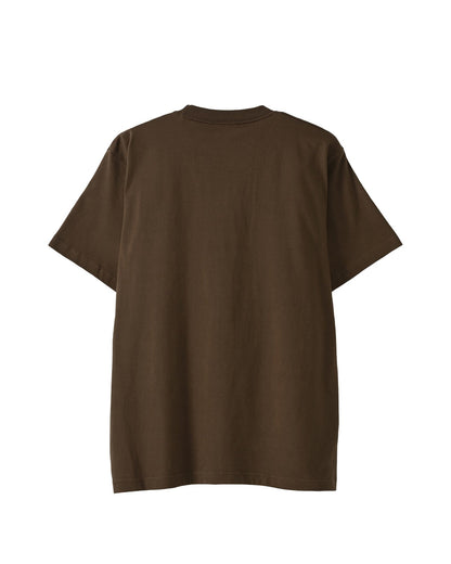 Albrecht Dürer dark-brown image