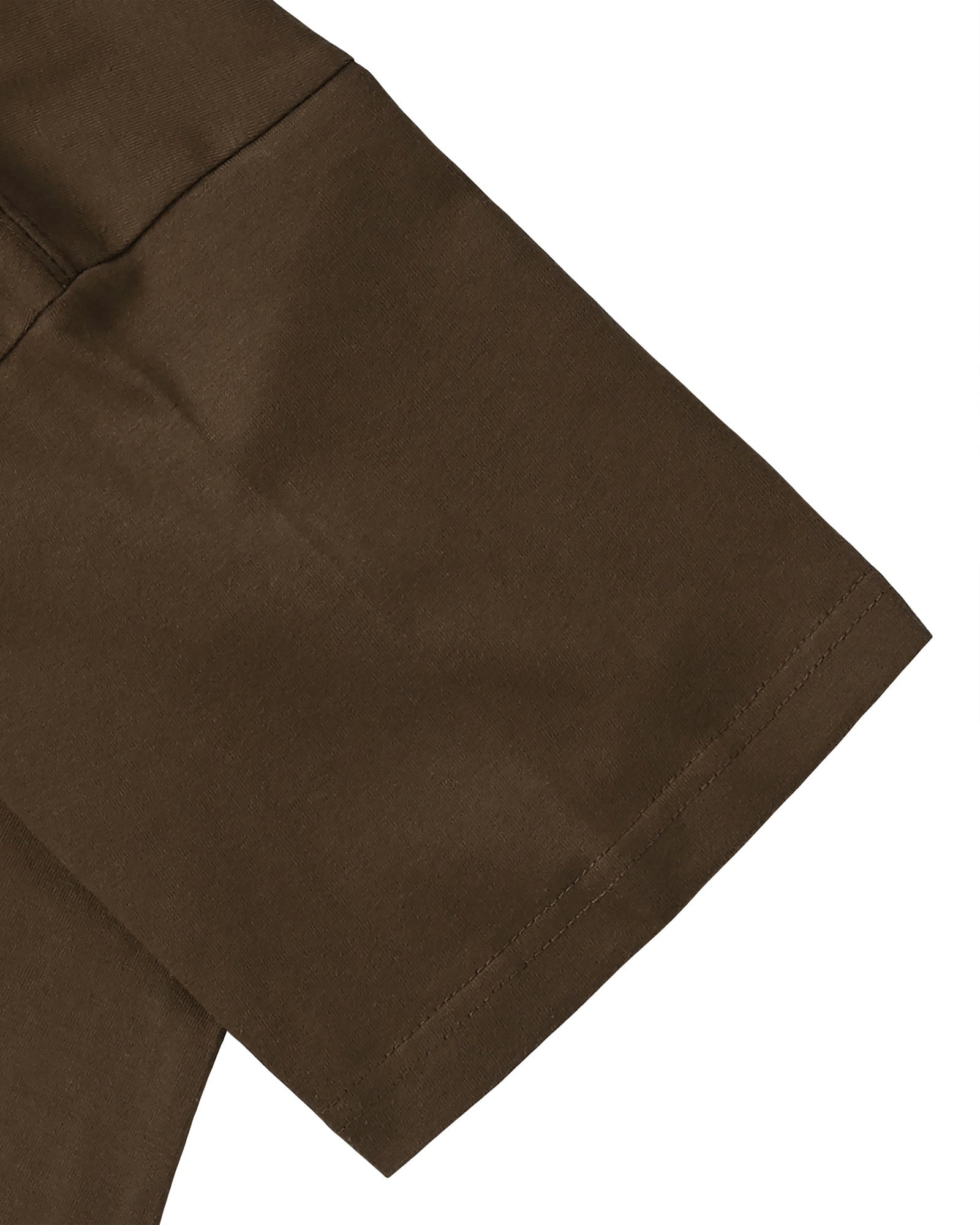 Hans Holbein the Younger dark-brown image