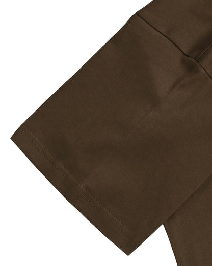 Hans Holbein the Younger dark-brown image